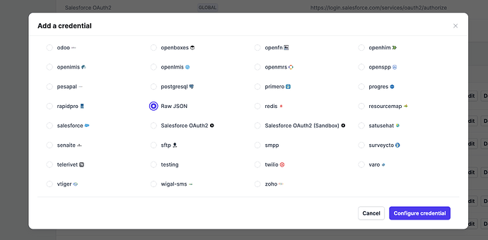 Creating a Raw JSON credential